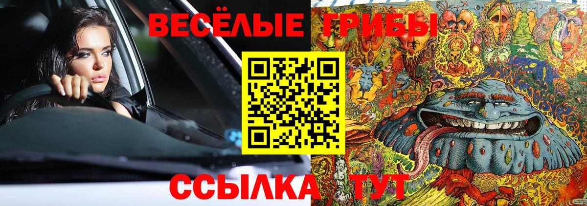 Галлюциногенные грибы ЛСД  Вход с VPN  Трёхгорный 