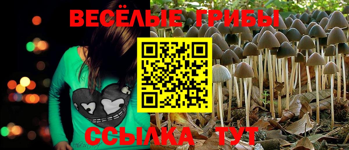 Галлюциногенные грибы прущие грибы Трёхгорный